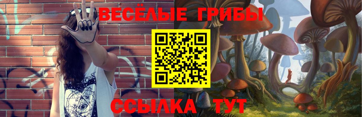 Псилоцибиновые грибы Cubensis Коркино