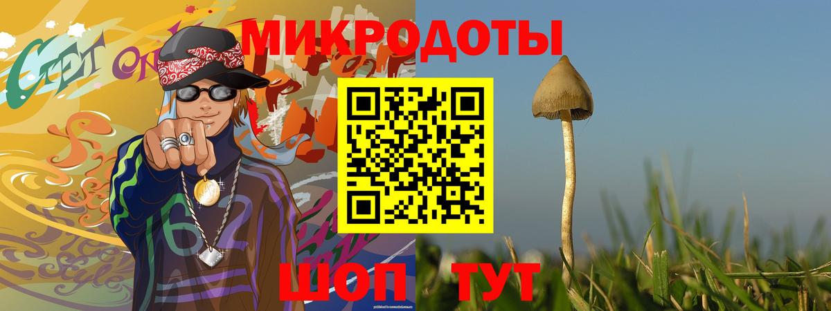Псилоцибиновые грибы Magic Shrooms  Вход с VPN  закладка  Коркино 